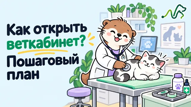 Лилла в халате осматривает кошку в ветеринарном кабинете: пошаговый план открытия веткабинета