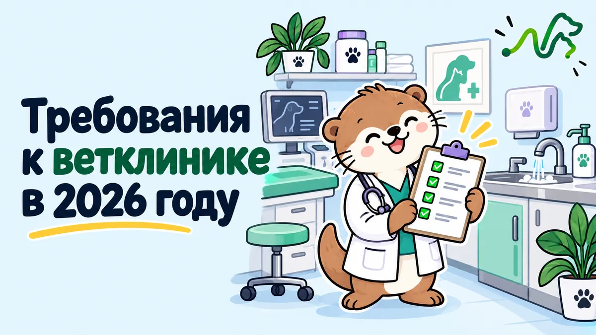 Лилла с чек-листом в оснащённом кабинете ветклиники: требования к ветклинике в 2026 году